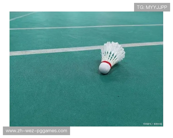 羽毛球俱乐的球