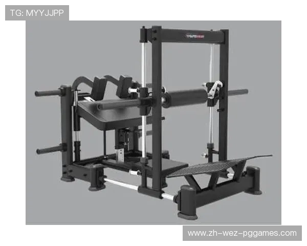 高端会所进口商用健身设备集成方案与案例研究