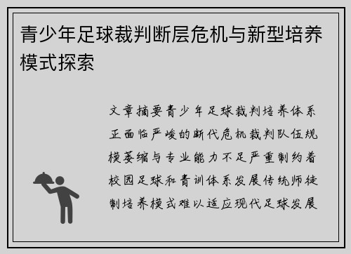 青少年足球裁判断层危机与新型培养模式探索