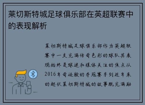 莱切斯特城足球俱乐部在英超联赛中的表现解析